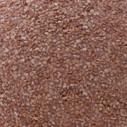 Rdeč