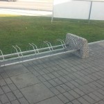 6mestni kolesnik