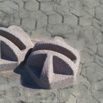 Kolesnik rjav1